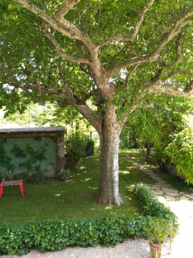 Reve D'Emma Bed & Breakfast Plan-d'Orgon Exterior photo