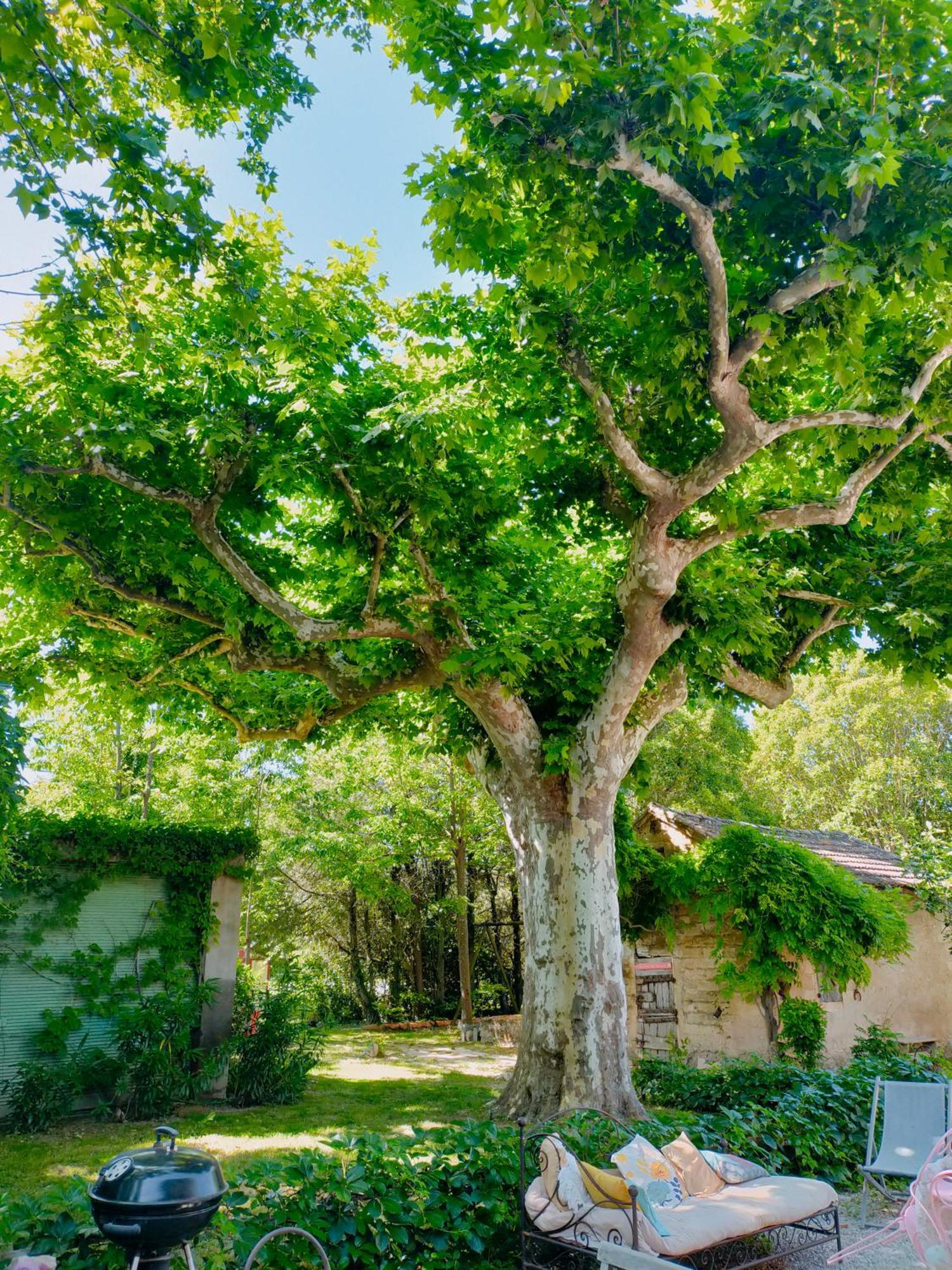 Reve D'Emma Bed & Breakfast Plan-d'Orgon Exterior photo